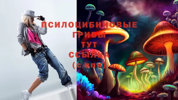 метадон Алексеевка