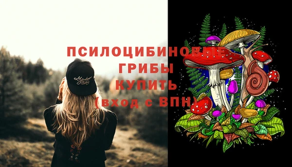MESCALINE Алзамай