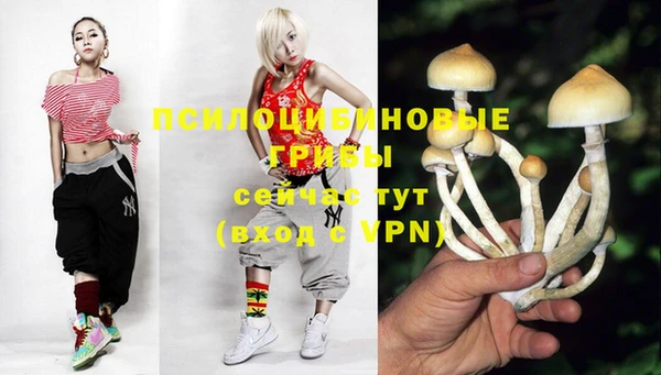 MESCALINE Алзамай
