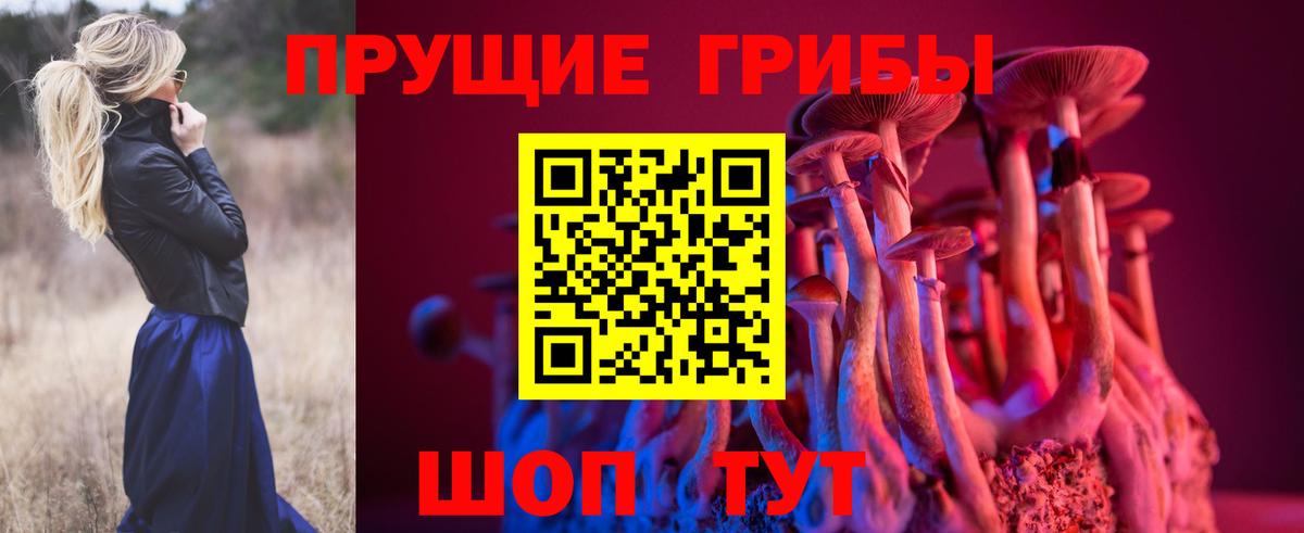 Галлюциногенные грибы Psilocybine cubensis Арзамас